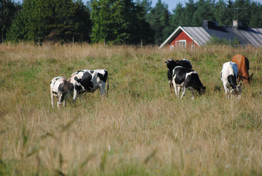 Similar image 1065800