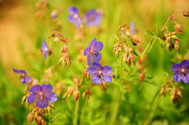 Similar image 1066098