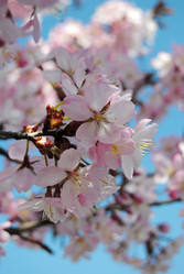 Similar image 1066110