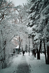 Similar image 1066118