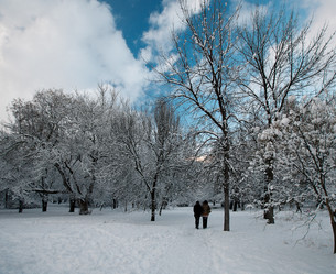 Similar image 1066119