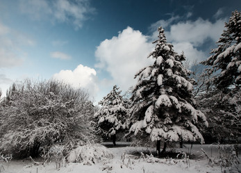 Similar image 1066120