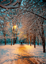 Similar image 1066121