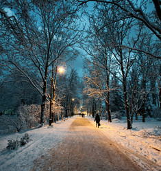 Similar image 1066122