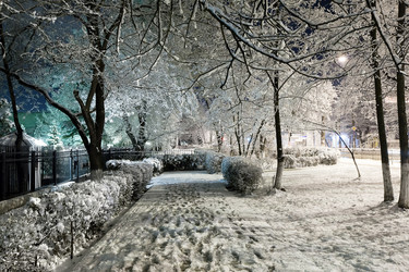 Similar image 1066123