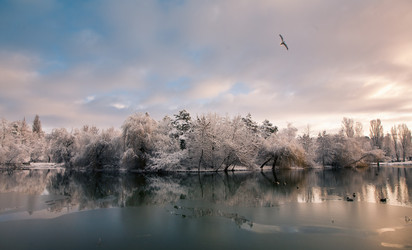 Similar image 1066137