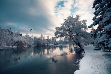 Similar image 1066138