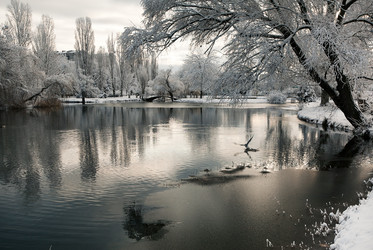 Similar image 1066139