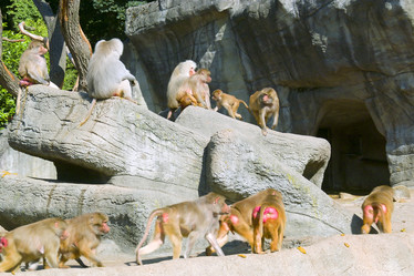 Similar image 1066158