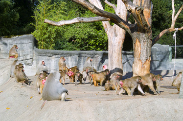 Similar image 1066159