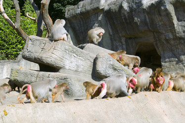 Similar image 1066160