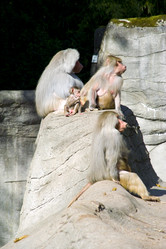 Similar image 1066162