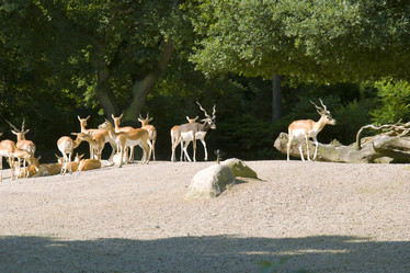 Similar image 1066172