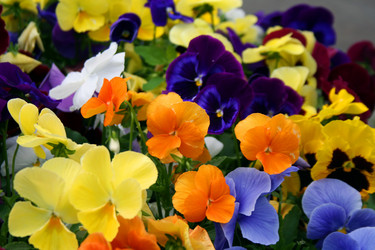 Similar image 1066211