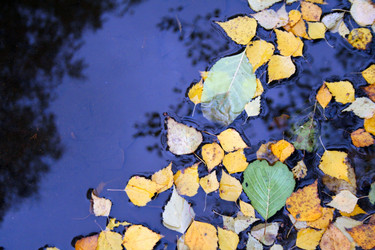 Similar image 1066214