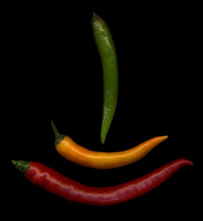 Similar image 1066412