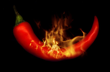 Similar image 1066416