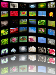 Similar image 1066449