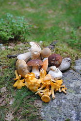 Similar image 1066476