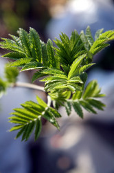 Similar image 1066482