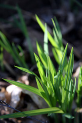 Similar image 1066484