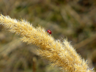 Similar image 1066485