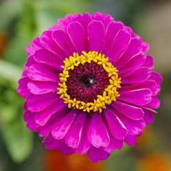 Similar image 1066488