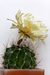 Similar image 1066503