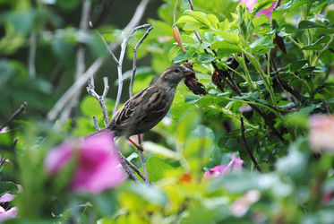 Similar image 1066535