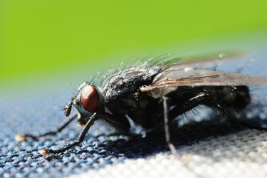 Similar image 1066543