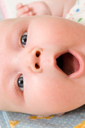 Similar image 1066913