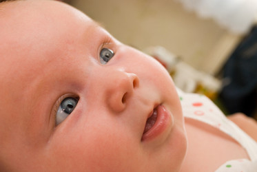 Similar image 1066917