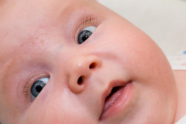 Similar image 1066927