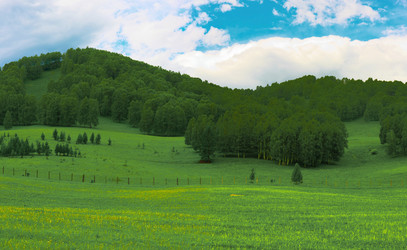 Similar image 1067138