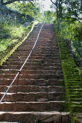 Similar image 1067273