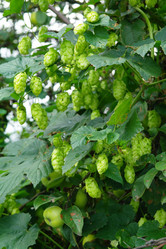 Similar image 1067386