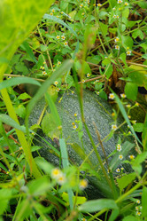 Similar image 1067394