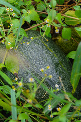 Similar image 1067398