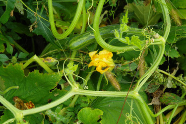 Similar image 1067404