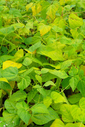 Similar image 1067410