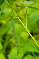 Similar image 1067412