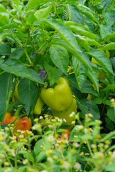 Similar image 1067417