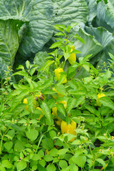 Similar image 1067419