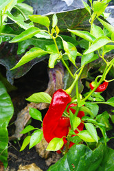 Similar image 1067423