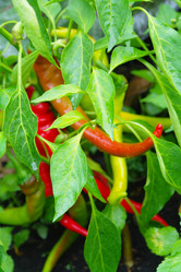 Similar image 1067427