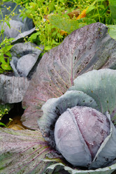 Similar image 1067439