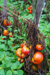 Similar image 1067458