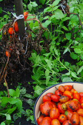 Similar image 1067463