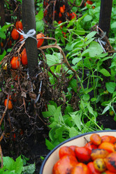 Similar image 1067464