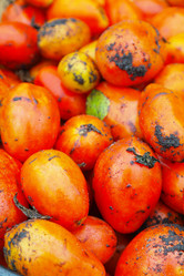 Similar image 1067466